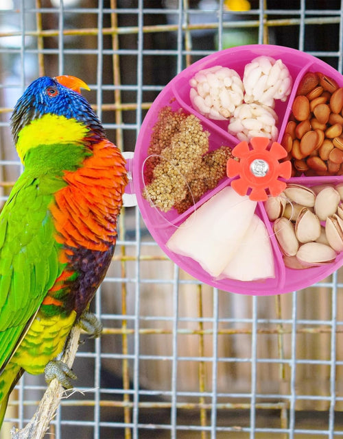 Load image into Gallery viewer, Bird Creative Foraging System Wheel Seed Food Ball Rotate Training Toy for Small and Medium Parrots Parakeet Cockatiel Conure
