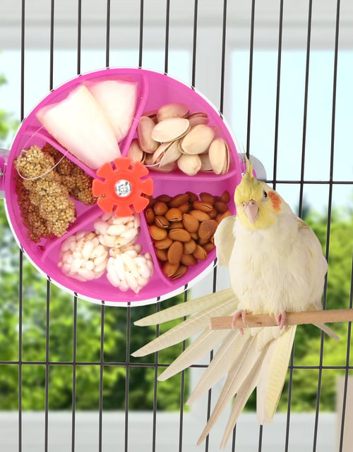 Load image into Gallery viewer, Bird Creative Foraging System Wheel Seed Food Ball Rotate Training Toy for Small and Medium Parrots Parakeet Cockatiel Conure
