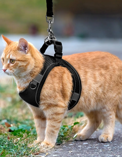 Load image into Gallery viewer, Cat Harness and Leash for Walking, Escape Proof Adjustable Cat Vest Harnesses, Easy Control Breathable Reflective Strips Jacket, Soft Harness for Puppy Small Medium Large Cats, Orange(Xxs)
