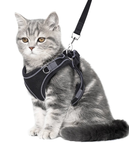 Cat Harness and Leash for Walking, Escape Proof Adjustable Cat Vest Harnesses, Easy Control Breathable Reflective Strips Jacket, Soft Harness for Puppy Small Medium Large Cats, Orange(Xxs)