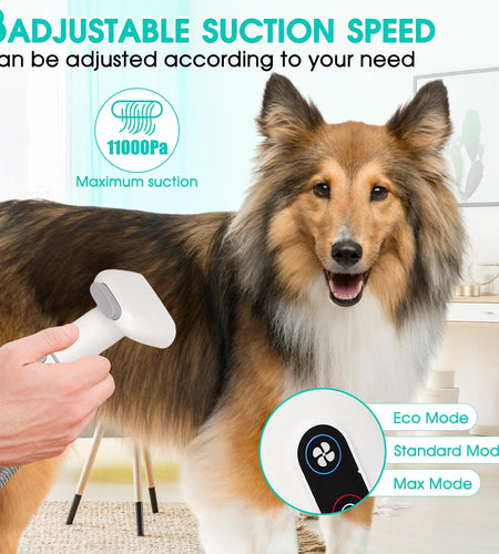 Pet Grooming Kit & Vacuum, 11Kpa Low Noise Pet Groomer Vacuum Suction with 3 Suction Mode, 5 in 1 Dog Vacuum, 2.5L Dustbin for Dogs, Cats and Other Animals