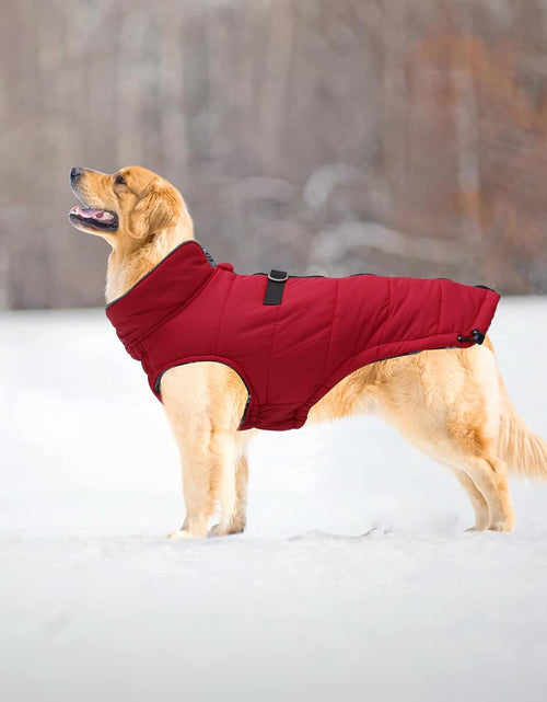 Load image into Gallery viewer, Dog Winter Warm Coat Dog Winter Jacket Windproof Snowproof,Pet Outdoor Jacket Dog Jacket for Small Medium Large Dogs-Red-Xxl
