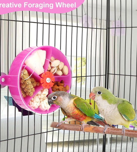 Bird Creative Foraging System Wheel Seed Food Ball Rotate Training Toy for Small and Medium Parrots Parakeet Cockatiel Conure