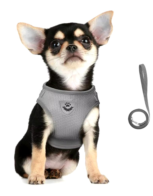 Load image into Gallery viewer, Cat Harness Lead Leash Set Adjustable Reflective Escape Proof Pet Mesh Vest Harness Puppy Dog Collar Small Dog Cat Pet Supplies
