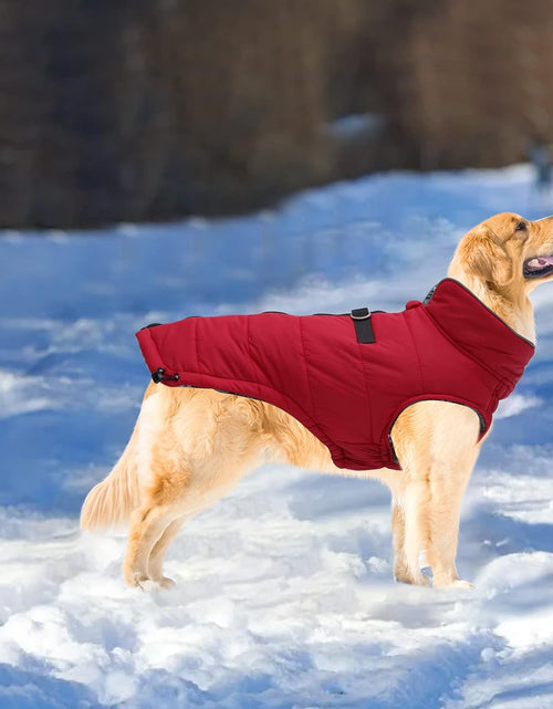 Load image into Gallery viewer, Dog Winter Warm Coat Dog Winter Jacket Windproof Snowproof,Pet Outdoor Jacket Dog Jacket for Small Medium Large Dogs-Red-Xxl
