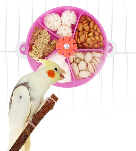 Bird Creative Foraging System Wheel Seed Food Ball Rotate Training Toy for Small and Medium Parrots Parakeet Cockatiel Conure